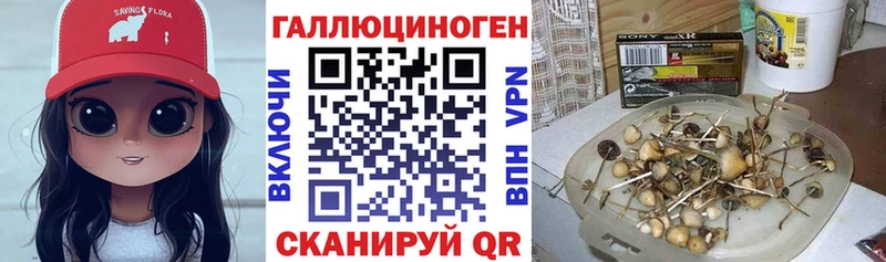 Купить закладки  Чадан  Галлюциногенные грибы мицелий 