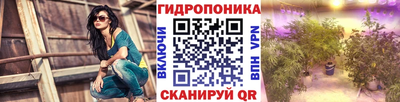 Купить закладки  Чадан  Бошки Шишки Amnesia 